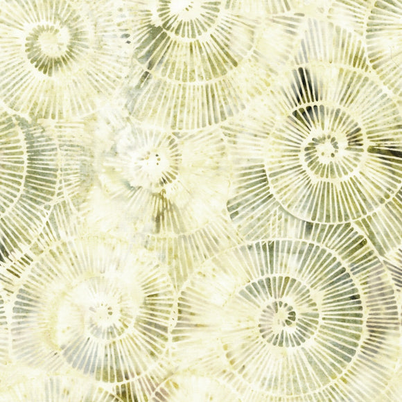 Stone Strata 112518038 Fossil Spirals