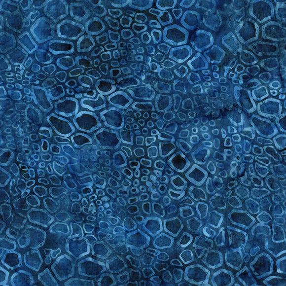 Stone Strata 112524884 Fossil Fern Leaf