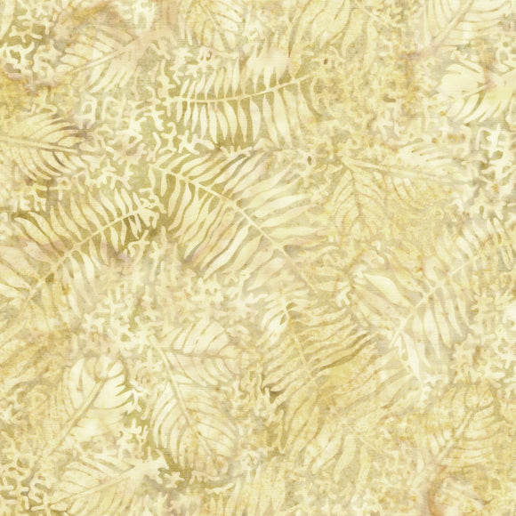 Stone Strata 112524059 Fossil Fern Leaf