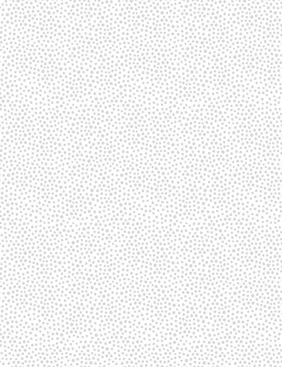 Timeless Treasures Hue C8187 White