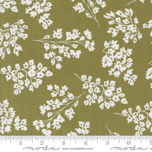 Moda Botany 11555-17