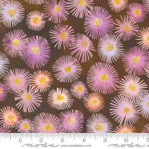 Moda Blooming Lovely 16972-15