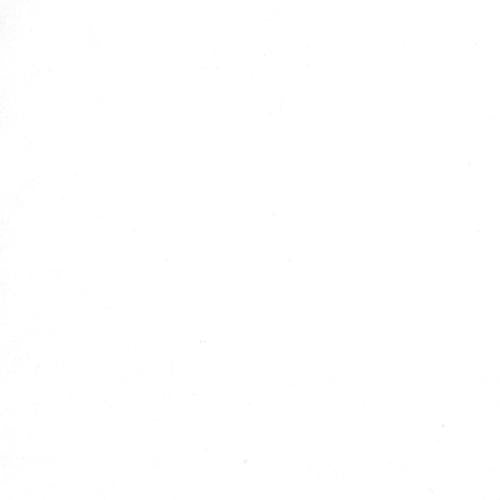 Moda Crackle White on White 5746-110