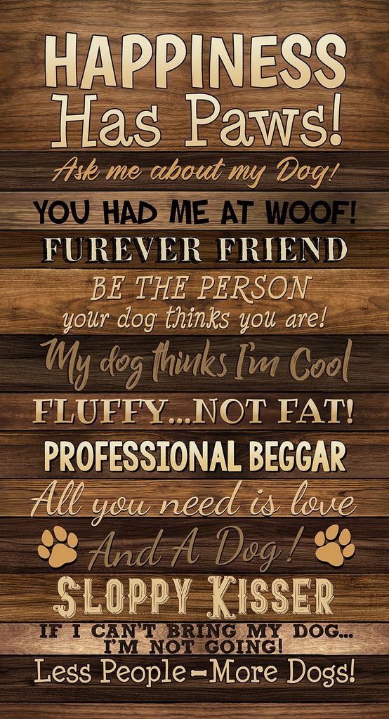 Timeless Treasures Panel CD3316 Brown