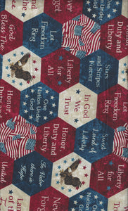 Northcott Stars and Stripes 22780-49